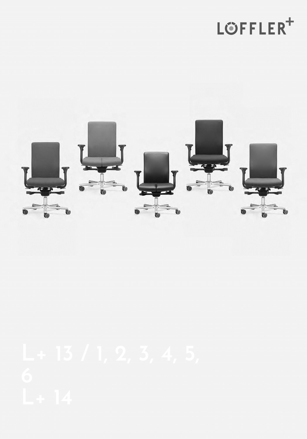 Brochure-loeffler-plus